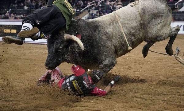 Бык сбрасывает своего наездника на соревнованиях The Beast Monster Energy Buckoff в Нью-Йорке, США. - Sputnik Молдова