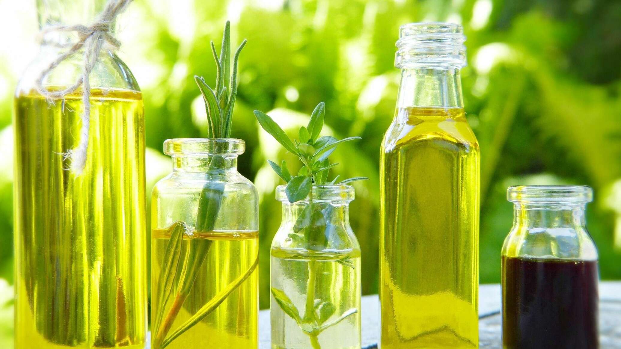 Применение растительных масел. Растительное масло. Vegetable Oil. Жирные масла.