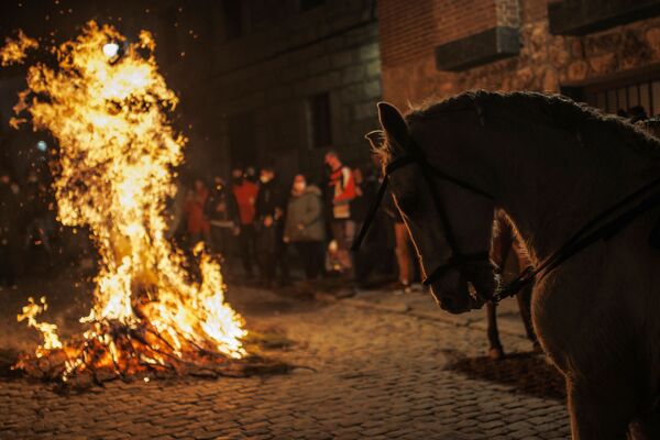 Люди уверяют, что лошадь не пострадает при прыжке через огонь, ведь пред этим ее тщательно обливают водой. - Sputnik Молдова