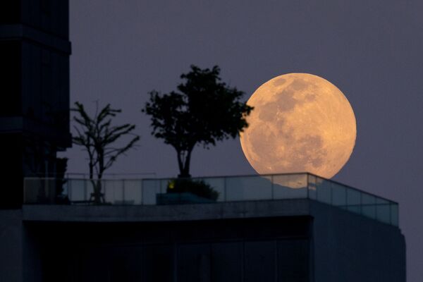 &quot;Волчья Луна&quot; в небе над Бангкоком. - Sputnik Молдова
