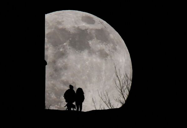 Прогулка с собакой под &quot;волчьей&quot; Луной в Гластонбери, Великобритания. - Sputnik Молдова