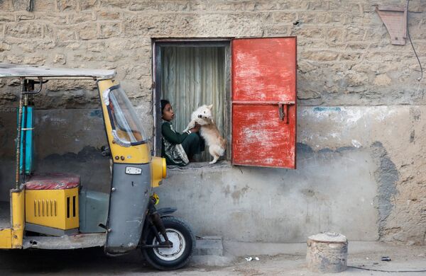 10-летняя Сания играет с собакой по кличке Дугу, сидя на окне своего семейного дома в Карачи, Пакистан. - Sputnik Молдова