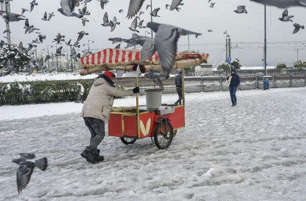 Un vânzător își trage căruța de porumb în cartierul Eminonu din Istanbul pe 25 ianuarie 2022, după o furtună de zăpadă.  - Sputnik Moldova-România