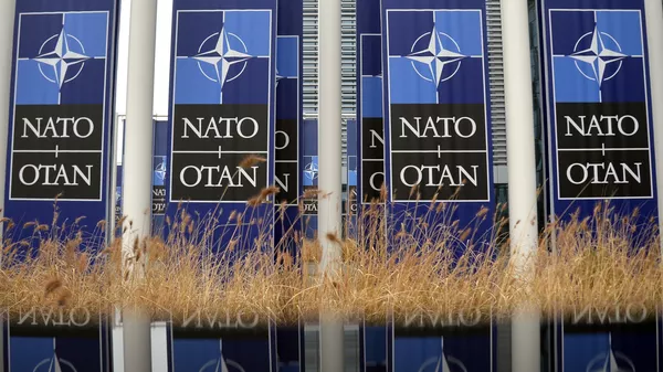 Expert: Guvernul a făcut o greșeală atunci când a aprobat planul de acțiuni cu NATO
 - Sputnik Moldova