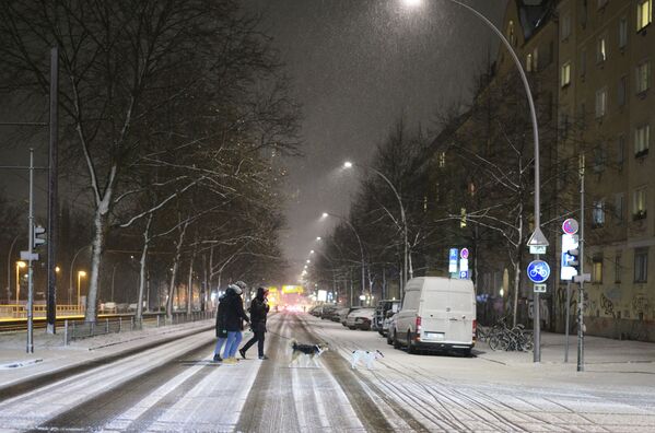Trei persoane care se află în compania unor animăluțe traversează o stradă din orașul Berlin. Imaginea a fost surprinsă pe 20 ianuarie în capitala Germanie. - Sputnik Moldova
