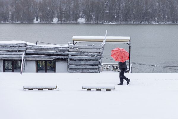 Un bărbat se plimbă pe malul Dunării în timpul unei furtuni de zăpadă ce a cuprins orașul Belgrad. Imaginea a fost surprinsă pe 22 ianuarie în Serbia. - Sputnik Moldova