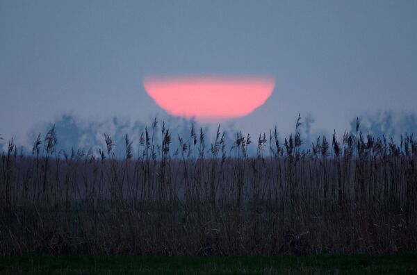 Солнце восходит над полем в Ле Пеллерин недалеко от Нанта, Франция. - Sputnik Молдова