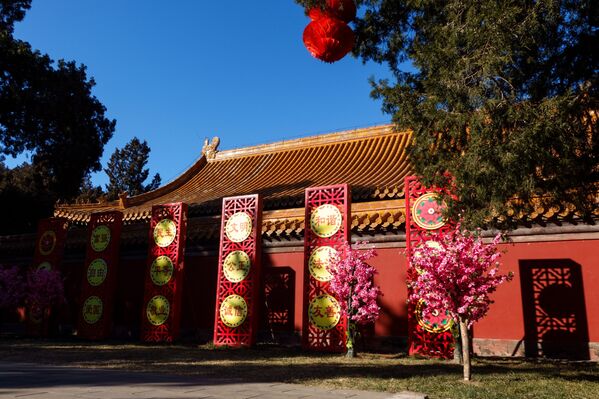 Украшенный к китайскому Новому году парк Храма Земли в Пекине. - Sputnik Молдова