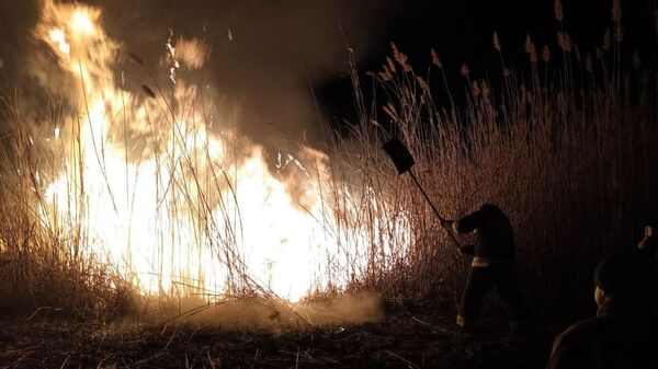 Incendiu în lunca lacului Beleu - Sputnik Moldova