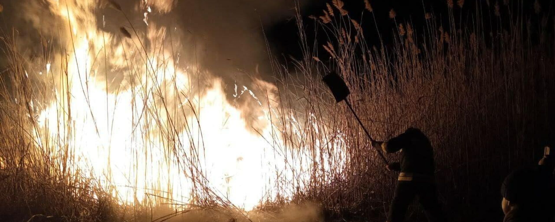Incendiu în lunca lacului Beleu - Sputnik Moldova, 1920, 04.02.2022