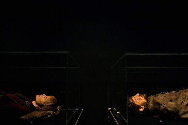 Куклы, изображающие погибших персонажей сериала – Серсею и Джейме Ланистеров. - Sputnik Молдова
