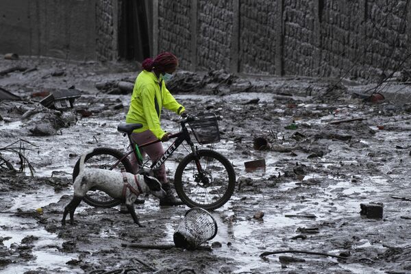 Женщина с собакой на затопленной грязью улице после оползня из-за сильных ливней на район ЛаГаска в Кито, Эквадор. - Sputnik Молдова