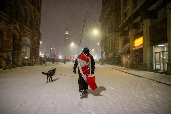 Doug se plimbă cu câinele său în timpul protestelor împotriva vaccinării obligatorii împotriva coronavirusului (COVID-19), de-a lungul străzii Wellington, lângă Parlamentul Canadei, în Ottawa, Ontario, Canada, 17 februarie 2022. - Sputnik Moldova-România