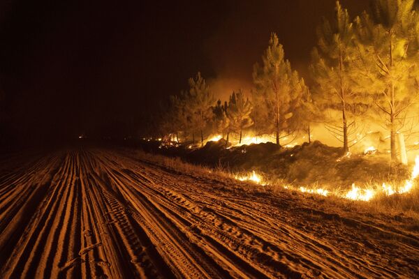 Лесной пожар усугубляется высокими температурами и засухой в регионе. - Sputnik Молдова