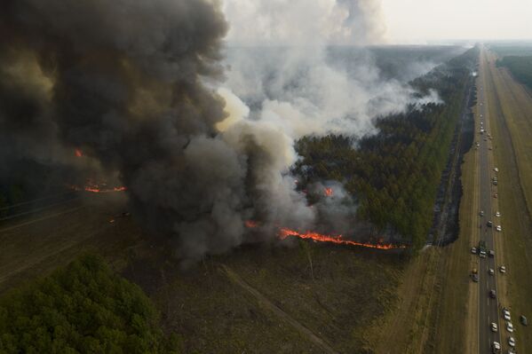 От мощного огня также пострадал аргентинский национальный парк Ибера. - Sputnik Молдова