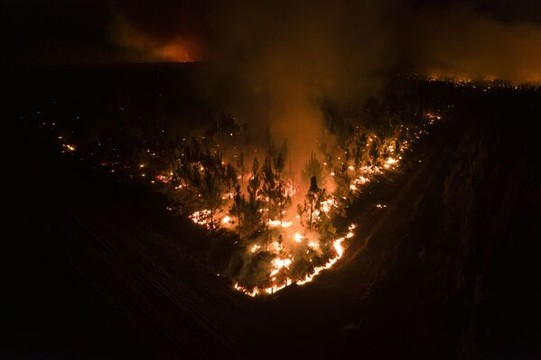 Из-за пожаров пострадали пастбища, водно-болотные угодья и леса провинции Корриентес на северо-востоке Аргентины. - Sputnik Молдова