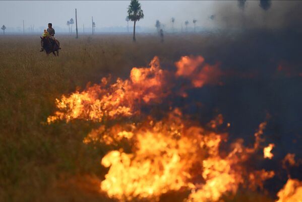 По данным властей, пожары в провинции Корриентес уничтожили 785 тысяч гектаров земель, что составляет 8,8% территории провинции. - Sputnik Молдова