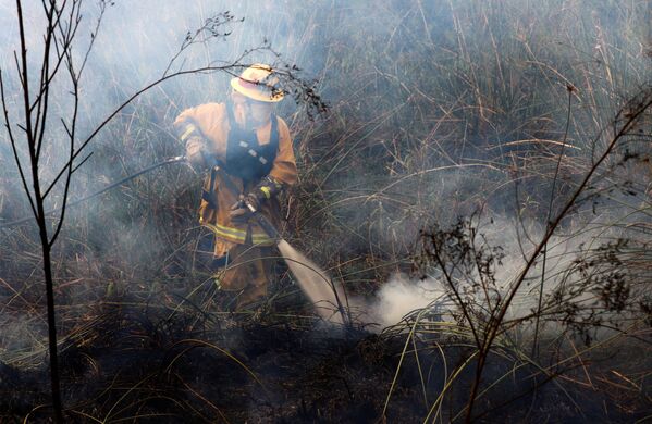 На тушение пожаров направлено порядка трех тысяч спасателей и пять вертолетов. - Sputnik Молдова