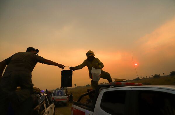 Помощь Аргентине в тушении пожаров направили Боливия и Бразилия. - Sputnik Молдова