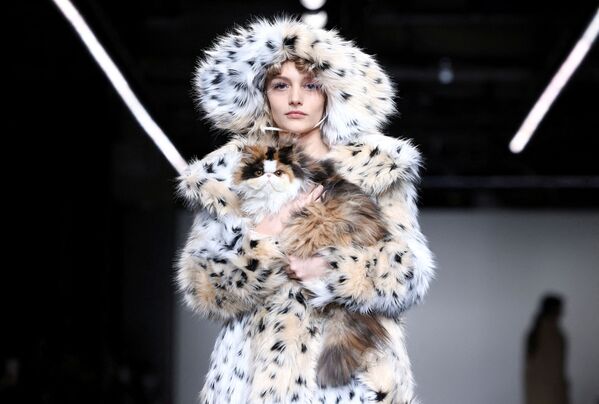 Модель с кошкой на руках во время дефиле, коллекция Yuhan Wang на London Fashion Week в Лондоне, Великобритания, 20 февраля 2022 года. - Sputnik Молдова