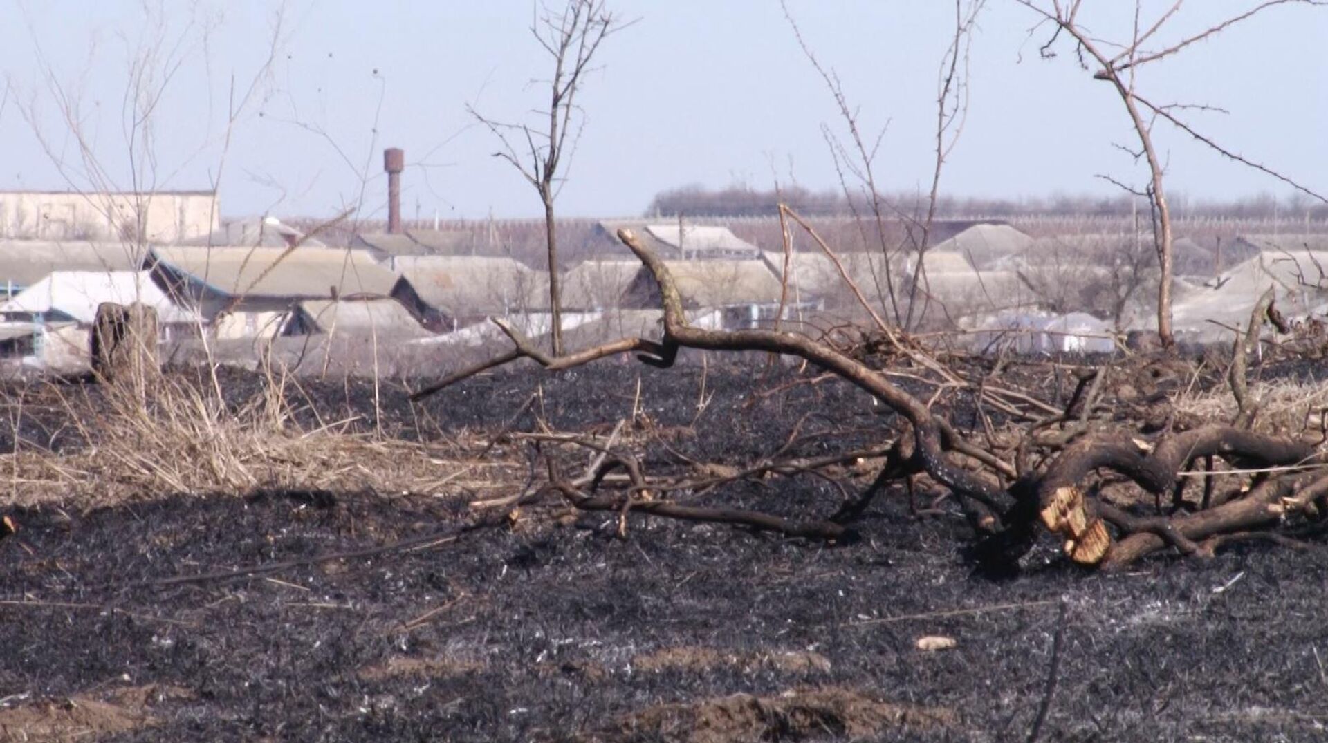 Последствия пожара для Гослесфонда в Чок-Майдане - Sputnik Молдова, 1920, 21.02.2022