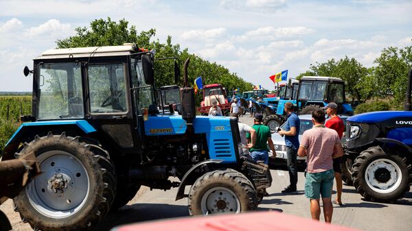 Când își vor primi fermierii subvențiile pentru 2021, promisiunea ministrului Agriculturii - Sputnik Moldova