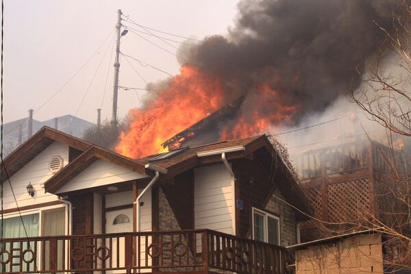 Лесной пожар уничтожает дома в Тонхэ 5 марта 2022 года. - Sputnik Молдова