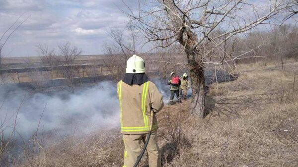 Record de misiuni a pompierilor la lichidarea focarelor de vegetație arsă - Sputnik Moldova