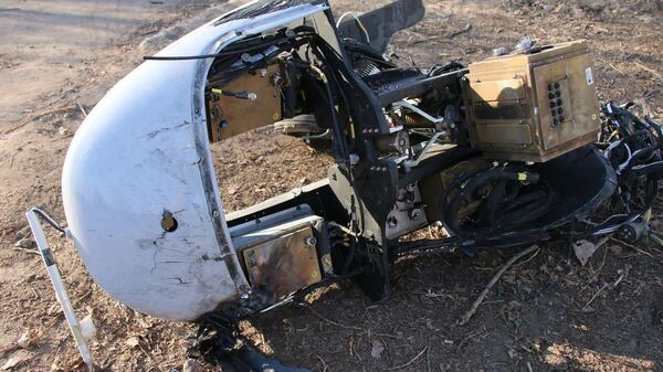 Военный беспилотник Байрактар, сбитый в Киевской области - Sputnik Moldova