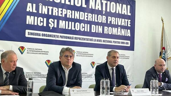 Consiliul National al IMM-urilor din Romania - Sputnik Moldova-România