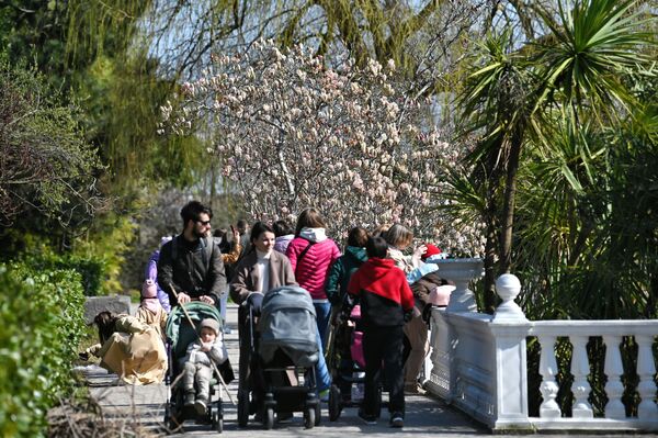 Oameni ce se plimbă în apropierea florilor de magnolie Sulange înflorite în parcul dendrologic al „Culturilor sudice” din Soci. - Sputnik Moldova-România