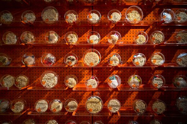 Выставка лапши в международном магазине Good Noodle в Бангкоке. - Sputnik Молдова