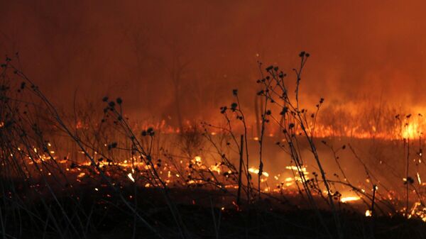 Степные пожары в Гагаузии - Sputnik Молдова