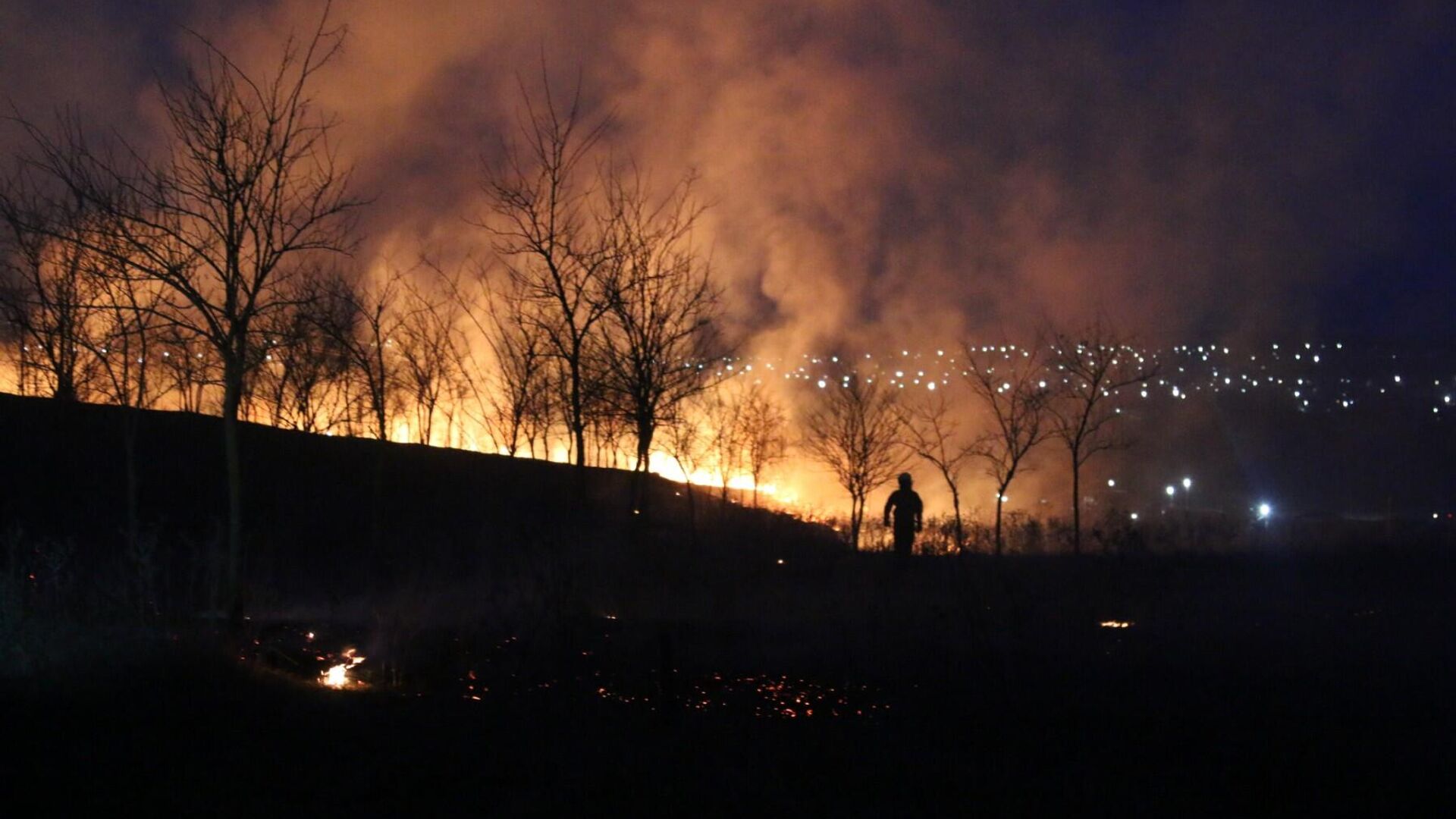 Incendiile de vegetație amenință capitala Găgăuziei - Sputnik Moldova, 1920, 31.03.2022