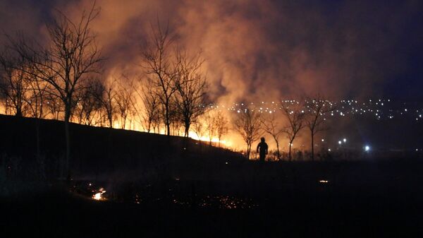 Incendiile de vegetație amenință capitala Găgăuziei - Sputnik Moldova
