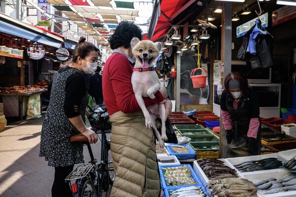 Женщина держит свою собаку, просматривая прилавок со свежими морепродуктами на уличном рынке в Сеуле. - Sputnik Молдова