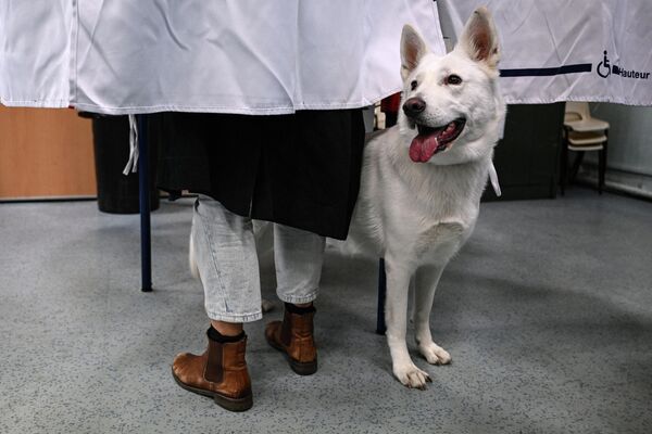 Un alegător cu câinele său se pregătește să-și dea votul pentru în tur al alegerilor prezidențiale din Franța la o secție de votare din Marsilia, sudul Franței, pe 10 aprilie 2022. - Sputnik Moldova-România