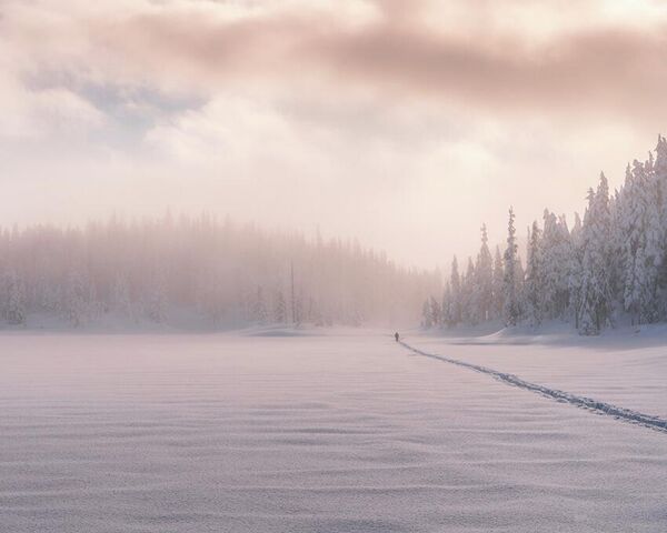 Снимок Strathcona Mist Two канадского фотографа Emery Sanderson, победивший в категории Youth Landscape фотоконкурса 2022 Sony World Photography Awards. - Sputnik Молдова