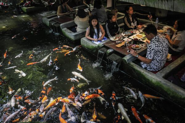 Посетители смотрят на плавающих карпов в рыбном ресторане в Чиангмае, Таиланд. - Sputnik Молдова