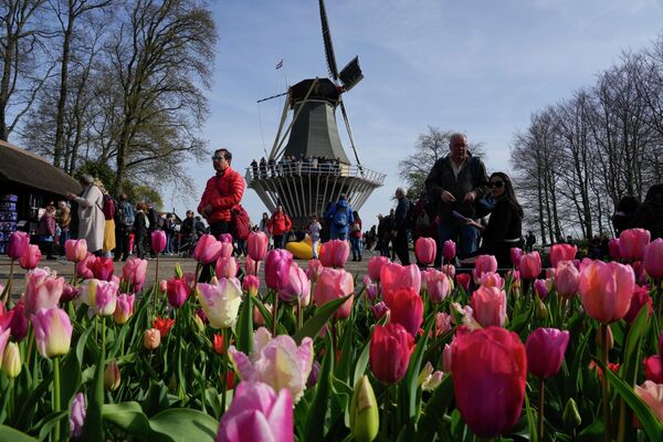 Посетители рядом с тюльпанами в голландском цветочном саду Кекенхоф в Лиссе. - Sputnik Молдова