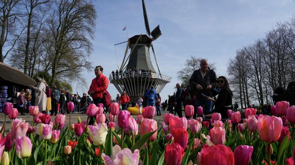 Посетители рядом с тюльпанами в голландском цветочном саду Кекенхоф в Лиссе - Sputnik Moldova-România