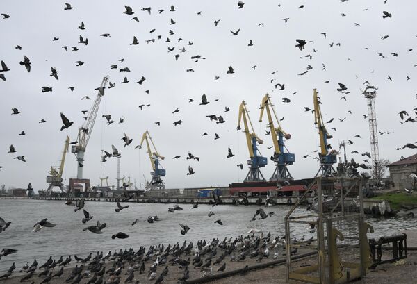 Портовые краны в морском торговом порту Мариуполя - Sputnik Молдова