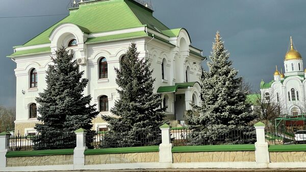 Тираспольско-Дубоссарская епархия  - Sputnik Молдова
