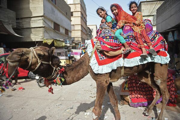 Девочки катаются на верблюде во время праздника Ид аль-Фитр, знаменующего окончание священного месяца Рамадан, в Карачи, Пакистан - Sputnik Молдова
