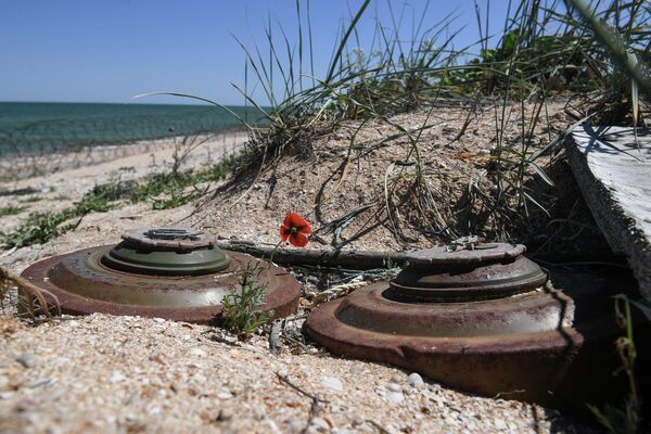Саперы ВС РФ очищают от противотанковых мин район Арабатской стрелки - Sputnik Молдова