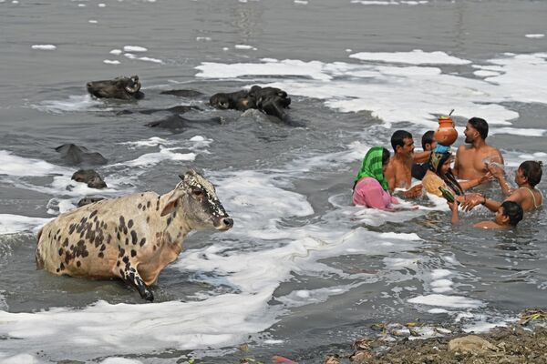 Индуисты молятся в водах реки Ямуна жарким летним днем в Нью-Дели. - Sputnik Молдова