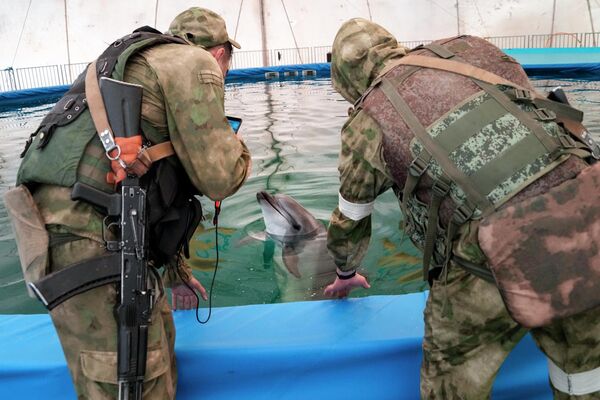 Soldații ruși privesc un delfin de la delfinariul din regiunea Herson. Imaginea a fost surprinsă în regiunea Herson, vineri, 20 mai 2022. Această fotografie a fost făcută în timpul unei călătorii organizate de Ministerul rus al Apărării - Sputnik Moldova