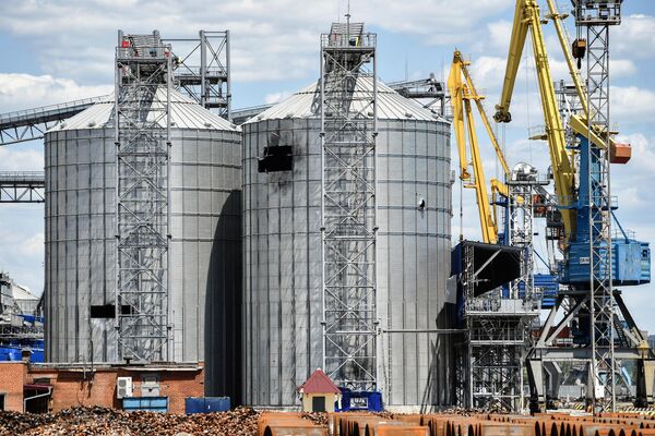 Silozuri pentru depozitarea cerealelor în terminalul de cereale al portului maritim Mariupol. - Sputnik Moldova-România