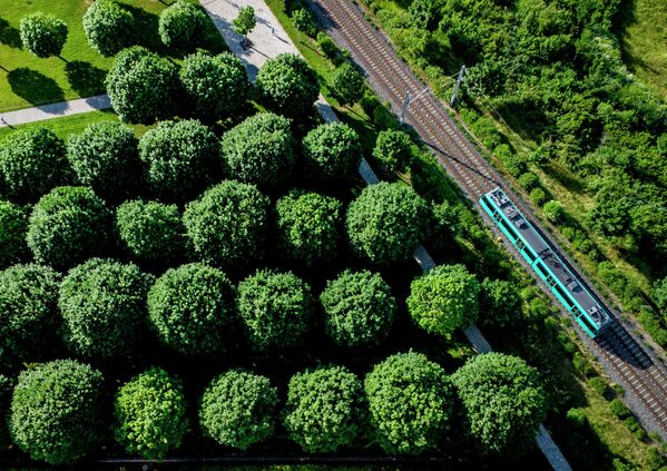 Парк во Франкфурте, Германия. - Sputnik Молдова