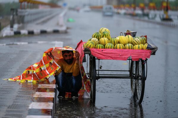 Продавец фруктов укрывается во время дождя в индийском городе Джамму  - Sputnik Молдова